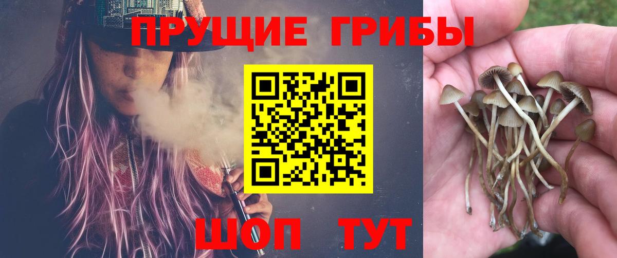Галлюциногенные грибы MAGIC MUSHROOMS Казань