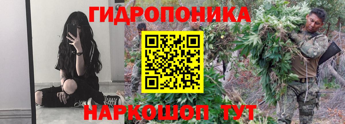 Бошки Шишки гибрид  Бошки марихуана VHQ  Канабис тримм  Казань  Вход с VPN  МАРИХУАНА White Widow 